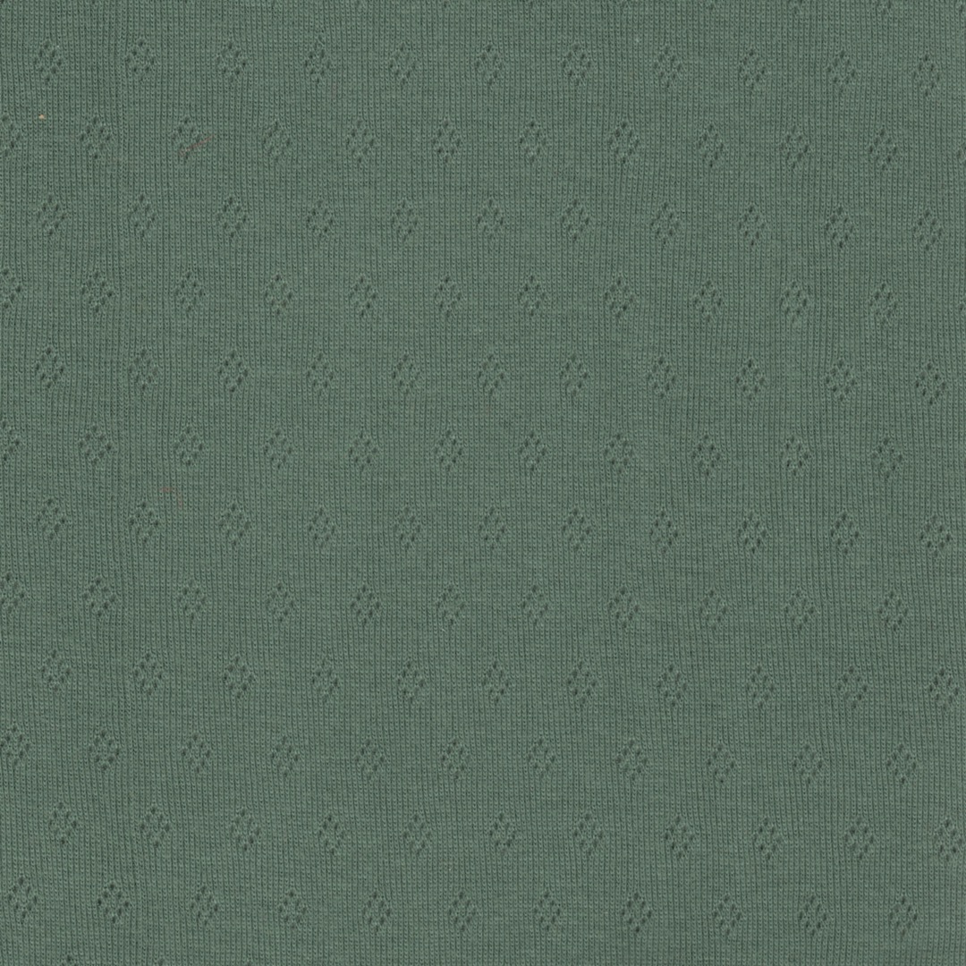Pointelle Fine Cotton Jersey Clothing Material in Rich Sage 30