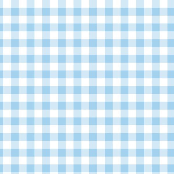 Cotton Classics Fabric in Pale Blue in Gingham 9mm