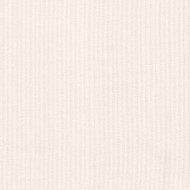 Plain babycord needlecord Fabric with 21 wale in Pale Cream 02